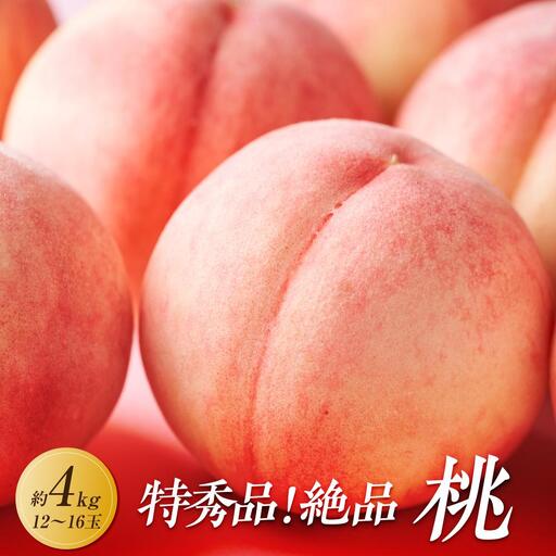 【2026年6月下旬より順次発送】特秀品！絶品「桃」約4kg(12～16玉)