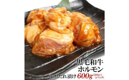 јazXЂ600gi200g×3j