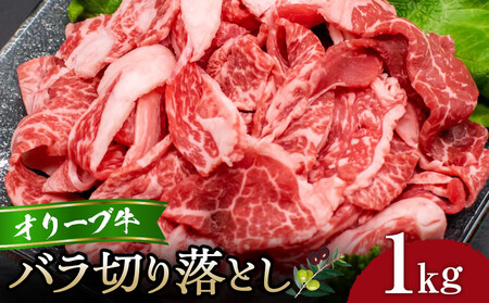 I[uo؂藎Ƃ1kg