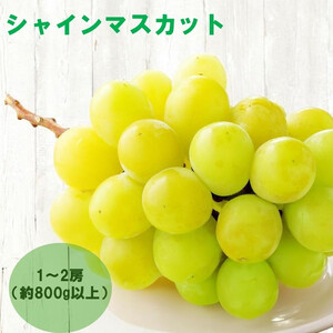 yӊzy8{`10{zVC}XJbg@1`2[i800gȏj