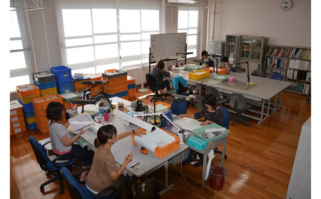 uzmvɐǦIZ^[̃obN[hcA[