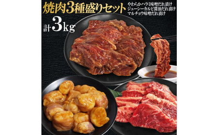 焼肉3種盛りセット(ハラミ・カルビ・マルチョウ)3kg  | 情熱ホルモン