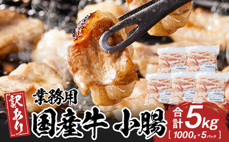 《業務用・訳アリ》国産牛　小腸　5kg