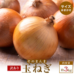 訳ありそのまんま玉ねぎ　約3kg　【5月中旬～6月下旬】