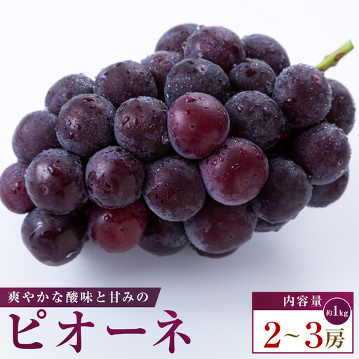 ピオーネ 約1kg(2〜3房)