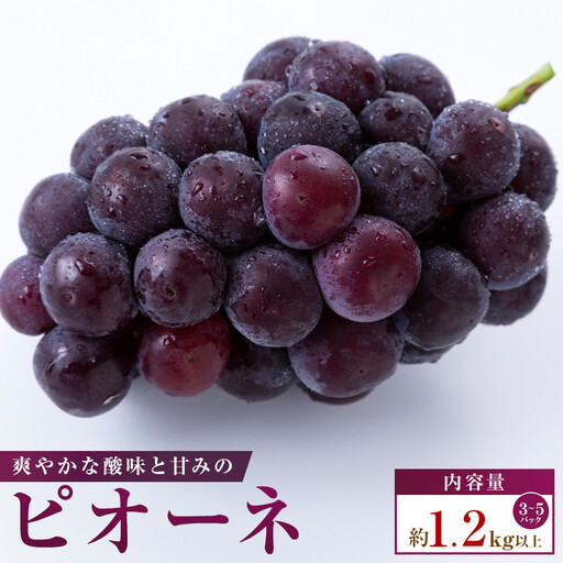 [小分けパック入り]パクパク食べられる・ピオーネパック 約1.2kg以上