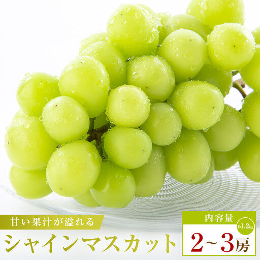 シャインマスカット　約1.2kg(2～3房)