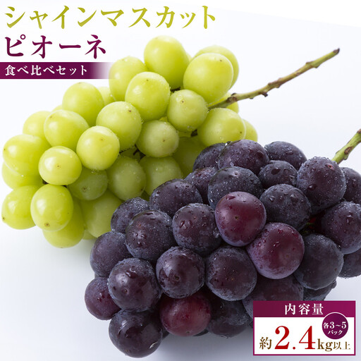 シャインマスカット+ピオーネ　パック食べ比べセット　約2.4kg以上(各3～5パック)