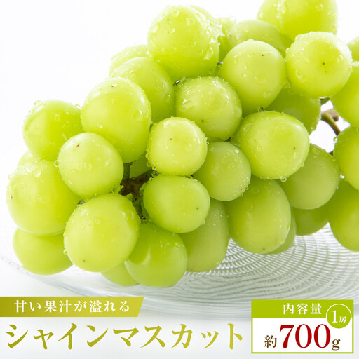 [食べきりサイズ]シャインマスカット 約700g
