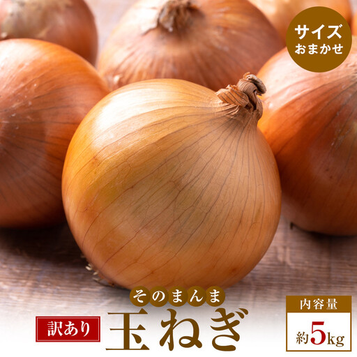 訳ありそのまんま玉ねぎ　約5kg
