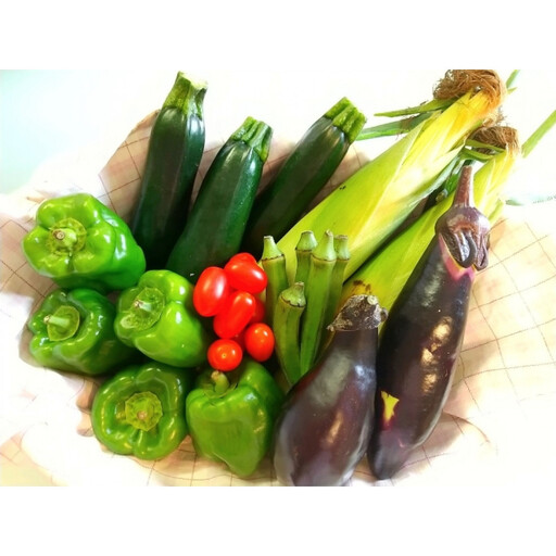 瀬戸ガーネット　1kgと夏野菜詰め合わせセット３～４人分【6月下旬以降発送】