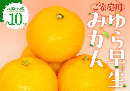 ご家庭用 ゆら早生 みかん 約10kg【2024年9月下旬～2024年11月上旬配送】【T006-218】