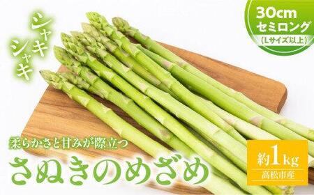 柔らかさと甘みが際立つ さぬきのめざめセミロング30cm(Lサイズ以上) 約1kg【2025-3月上旬～2025-6月下旬配送】