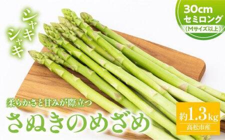 �_�炩���ƊÂ݂��ۗ��� ���ʂ��̂߂��߃Z�~�����O30cm(M�T�C�Y) ��1.3kg�y2026-3����{�`2026-6�����{�z���z