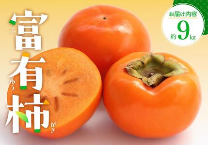 xL`@9kgy2025-10{`2025-12{zz