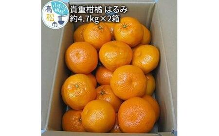 貴重柑橘 はるみ 約4.7kg×2箱[2025年2月上旬〜2025年3月中旬配送][T006-092]