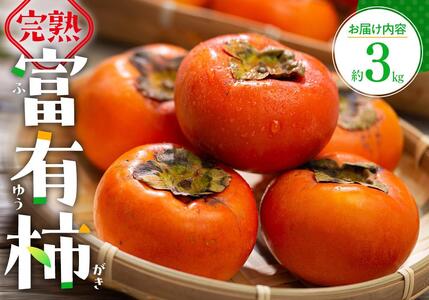 n xL ` 3kg y2025-10{`2025-12{zz