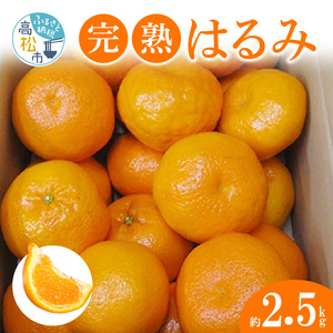 みかん 柑橘類 果物 フルーツ 果汁 完熟 はるみ 約2.5kg[2025年3月上旬〜2025年3月下旬配送][T006-284]