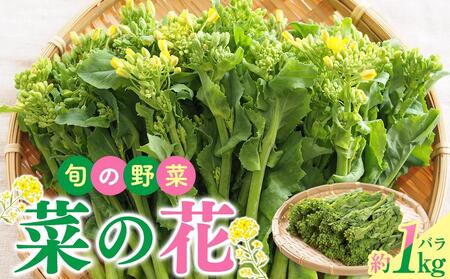 菜の花 野菜 国産 春野菜 花菜食用 旬の野菜 菜の花バラ 約1kg[2024年12月上旬〜2025年3月下旬配送][T006-277]