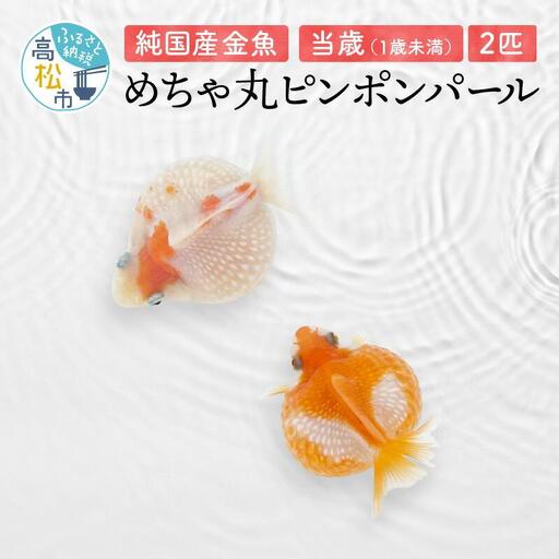 けつああ 検索結果 ふるさと納税サイト ふるなび