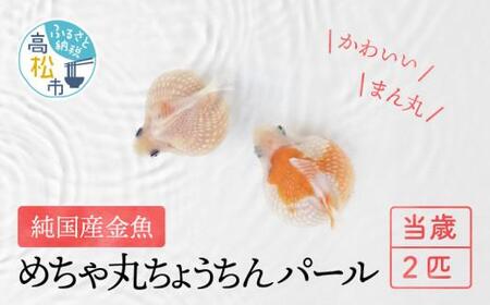 水草 検索結果 ふるさと納税サイト ふるなび