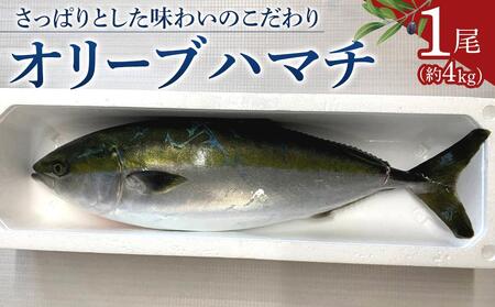 I[un}`1 4kg