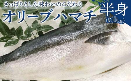 I[un}` g 1kg