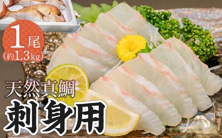 天然真鯛 刺身用（6人～7人前）