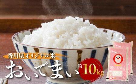 米 お米 オリジナル品種 おにぎり お弁当 炊飯 香川県オリジナル米「おいでまい」 約10kg[T006-760]