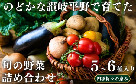 のどかな讃岐平野で育てた 旬の野菜 詰め合わせセット 今が旬 健康 野菜ボックス ヘルシー食材