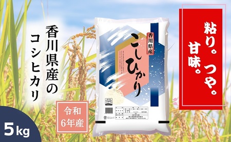 [令和6年産]香川県産 コシヒカリ 5kg 1袋 米 お米 精米 こしひかり 粘り つや 甘味