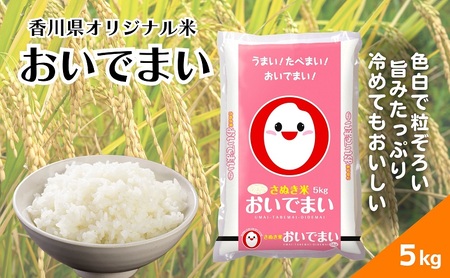 [令和6年産]香川県産 おいでまい 5kg 1袋 米 お米 精米 おいで米 粘り 旨み