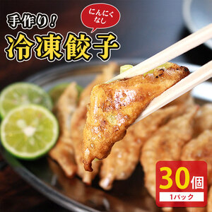 冷凍餃子 にんにくなし 30個×1p 餃子 餃子 餃子 ｷﾞｮｳｻﾞｷﾞｮｳｻﾞｷﾞｮｳｻﾞｷﾞｮｳｻﾞ