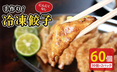 冷凍餃子 にんにくなし 60個 餃子