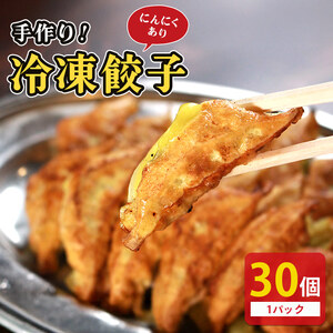 冷凍餃子 にんにくあり 30個×1p 餃子 餃子 餃子 ギョウザギョウザギョウザギョウザ