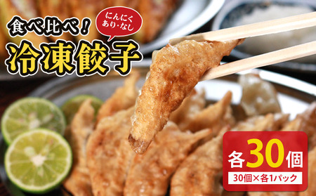 冷凍餃子 にんにくあり なし 食べ比べ 各1パック 餃子