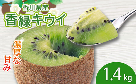 ZȊÂ݁I ΃LEC 1.4kg  LEC t[c ʕ ygoshiki019z