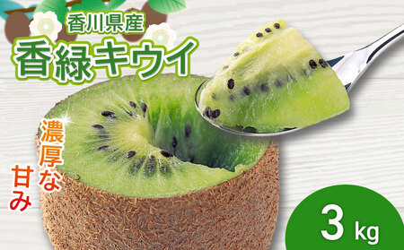 ZȊÂ݁I ΃LEC 3kg  LEC t[c ʕ ygoshiki021z