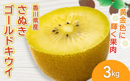 さぬきゴールドキウイ 選べる 約3kg 先行予約 キウイ 果物 フルーツ ゴールド 香川県 丸亀市 ｷｳｲ ｷｳｲ ｷｳｲ ｷｳｲ ｷｳｲ 【goshiki024】