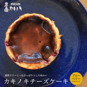 カキノキ チーズケーキ 冷凍 4号 ブルーベリー ケーキ ケーキ ケーキ ケーキ ケーキ ケーキ