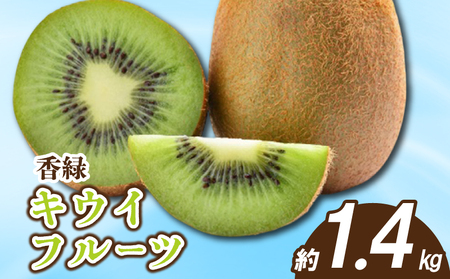 s\ LEC  1.4kg LEC zF11{`1{