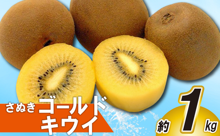 先行予約 キウイ 約1kg キウイフルーツ ゴールドキウイ さぬきゴールドキウイ 果物 果実 フルーツ 旬 デザート 選べる 容量 10月下旬～12月中旬 配送 家庭用 贈答用 ギフト プレゼント 香川県 丸亀市