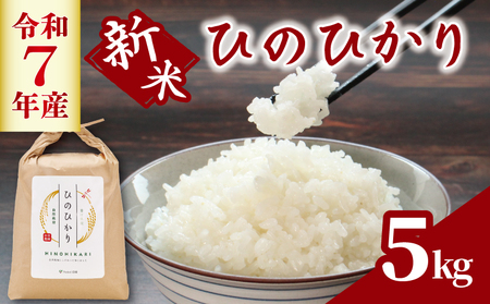 米 5kg 令和7年度産 ヒノヒカリ ご飯 米 米 米