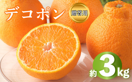 デコポン 不知火 約3kg 2026年 先行予約 秀品 化粧箱入り デコポン デコポン デコポン