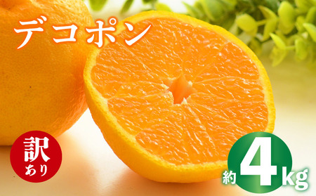 fR| sm 4kg 2026N s\  󂠂 fR| fR| fR|