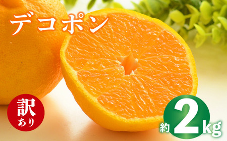 fR| sm 2kg 2026N s\  󂠂 fR| fR| fR|