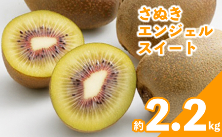 キウイ 約2.2kg 先行予約 さぬきエンジェルスイート キウイ キウイ キウイ