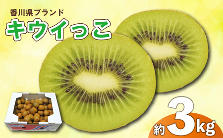 ʂLEC 3kg s\  TCY LEC