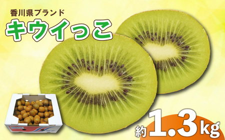 キウイ 約1.3kg 先行予約 さぬきキウイっこ サイズ混合 キウイ キウイ キウイ