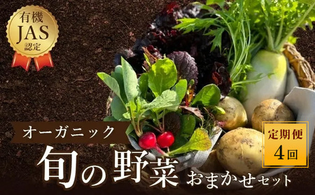 野菜 定期便 4回 オーガニック 野菜 やさい セット